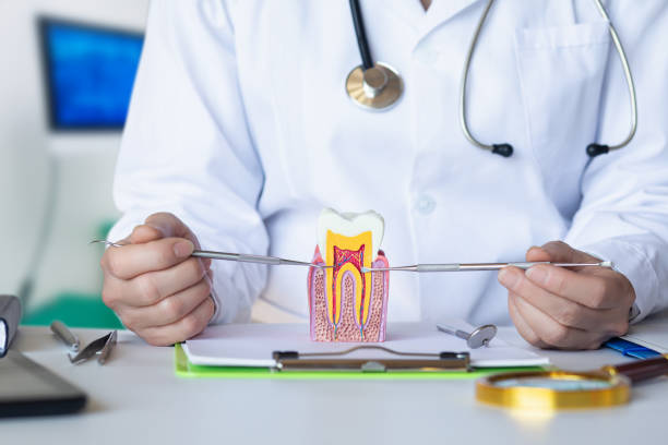 Best Cosmetic Emergency Dentistry in Levelland, TX